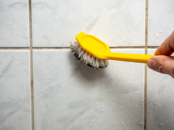 Office Mold Removal Services in Slippery Rock, PA