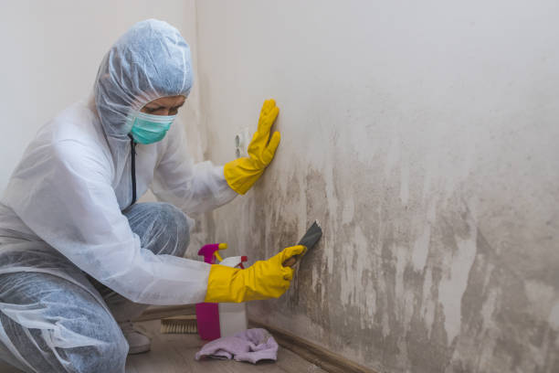 Best Emergency Mold Removal  in Slippery Rock, PA