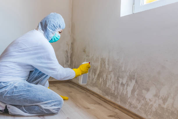 Best Mold Removal and Inspection  in Slippery Rock, PA