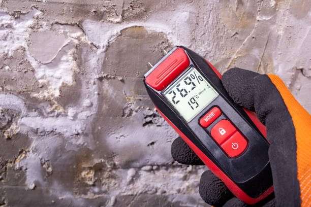 Best Black Mold Removal  in Slippery Rock, PA