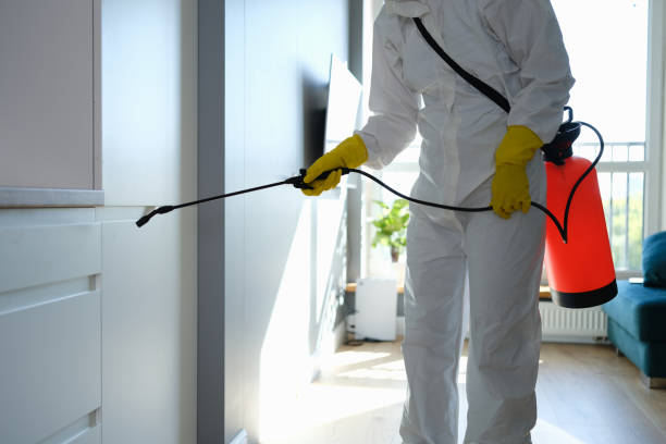 Best Home Mold Removal  in Slippery Rock, PA