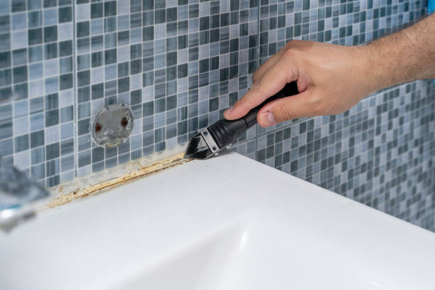 Mold Removal and Inspection in Slippery Rock, PA