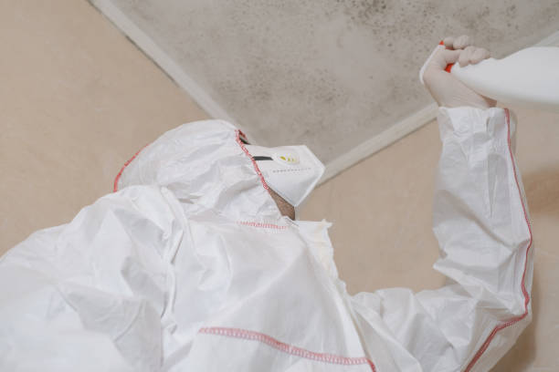Best Mold Removal Near Me  in Slippery Rock, PA