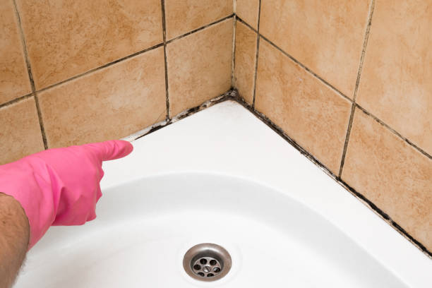 Best Office Mold Removal Services  in Slippery Rock, PA